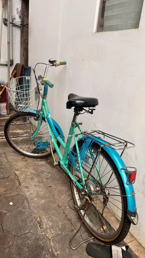 Sepeda Keranjang Exotic Mulus