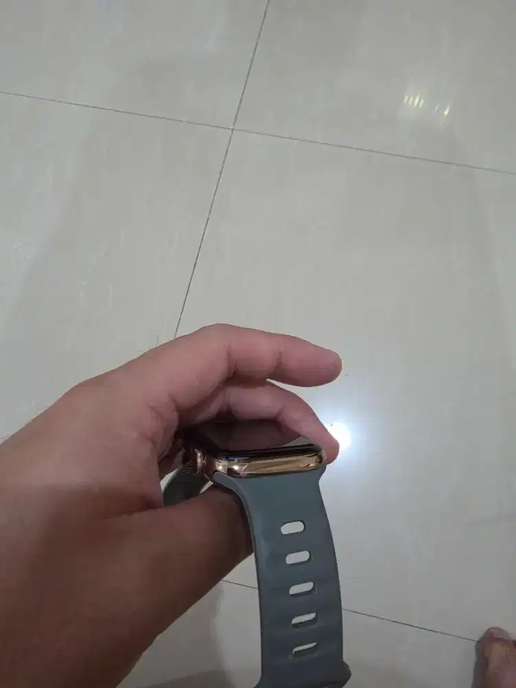 Apple Watch Series 5 Stainless Stell