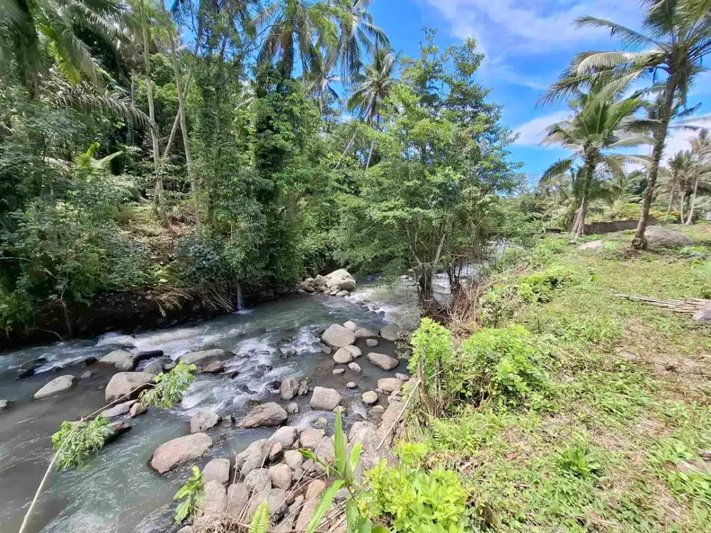 tanah zona kuning di daerah penebel tabanan