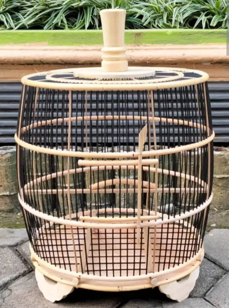 sangkar burung model kendang ,ambrukan
