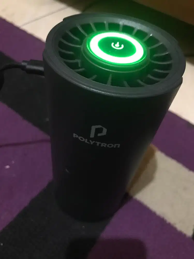 air purifier car polytron