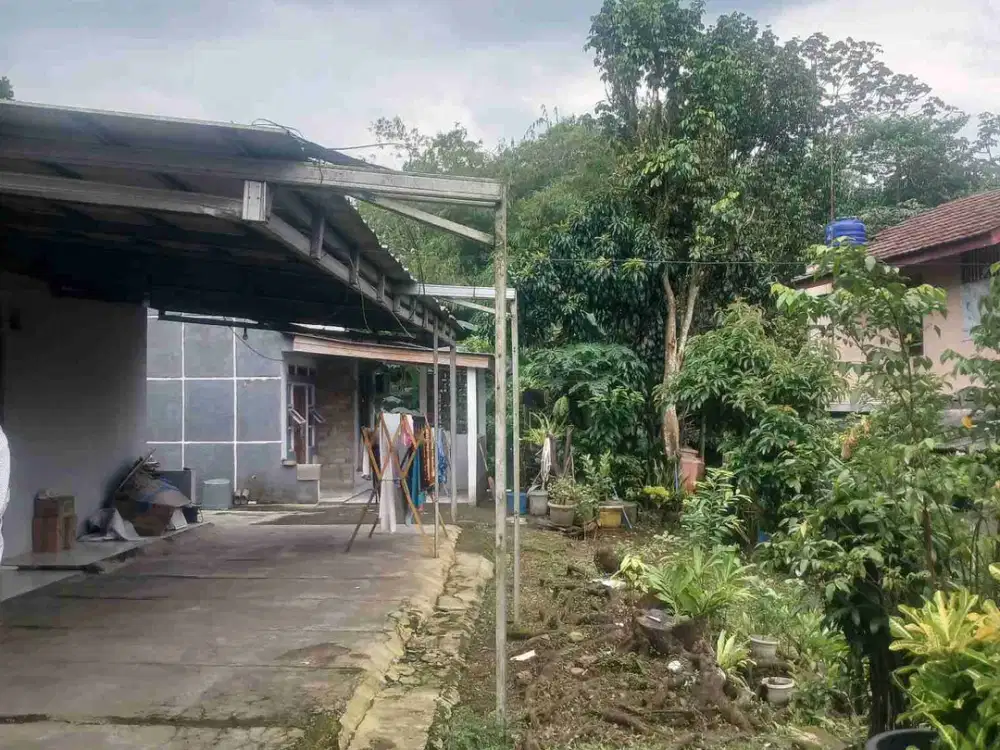 Dijual Rumah dengan Tanah Luas Pinggir Jln Raya Dramaga Bogor