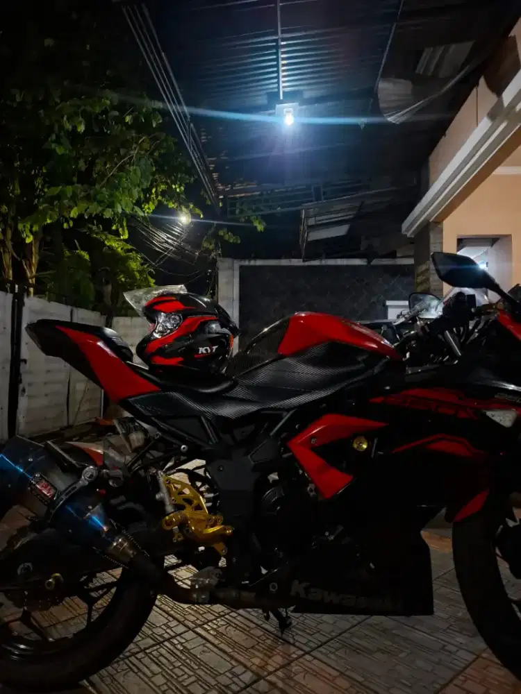 Kawasaki 250cc 2016 SL