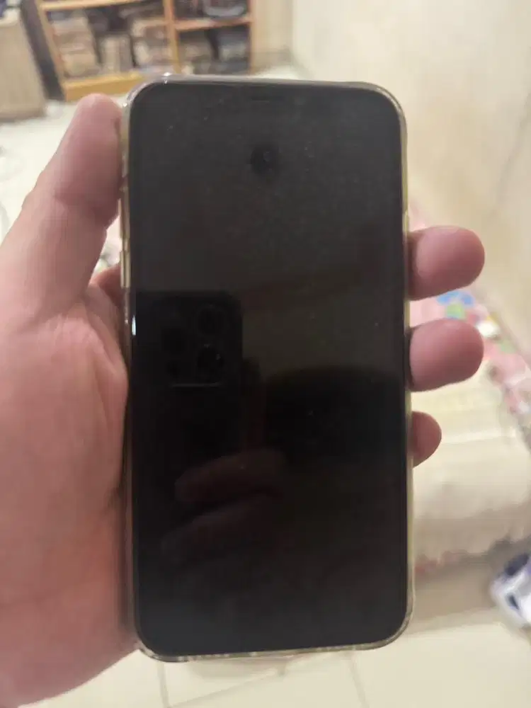 IPHONE XS 64gb MULUS