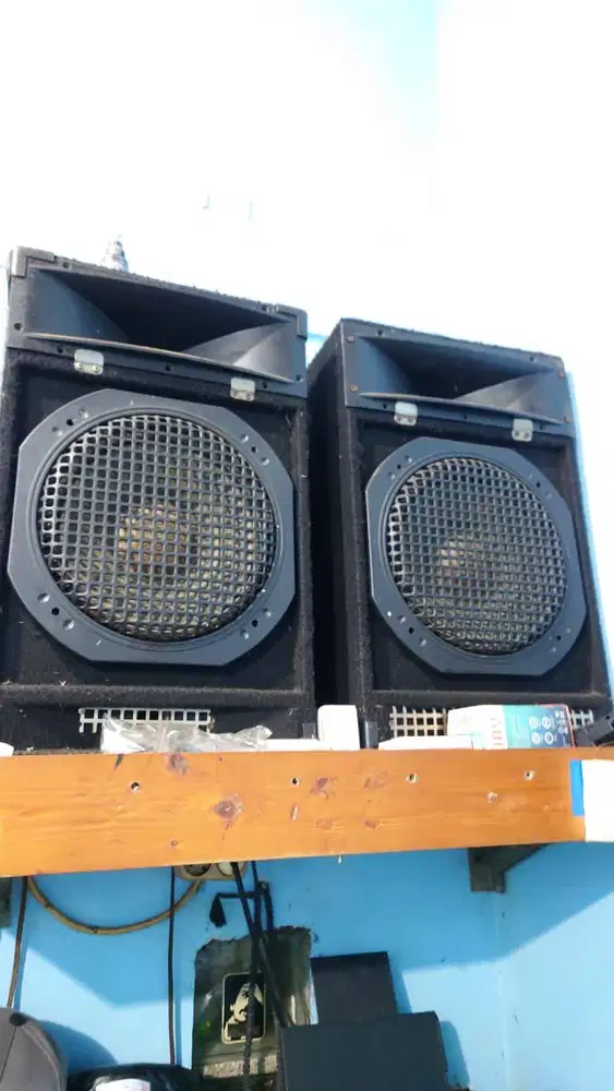 Speaker || Spiker || Salon Pasif 12 Inch