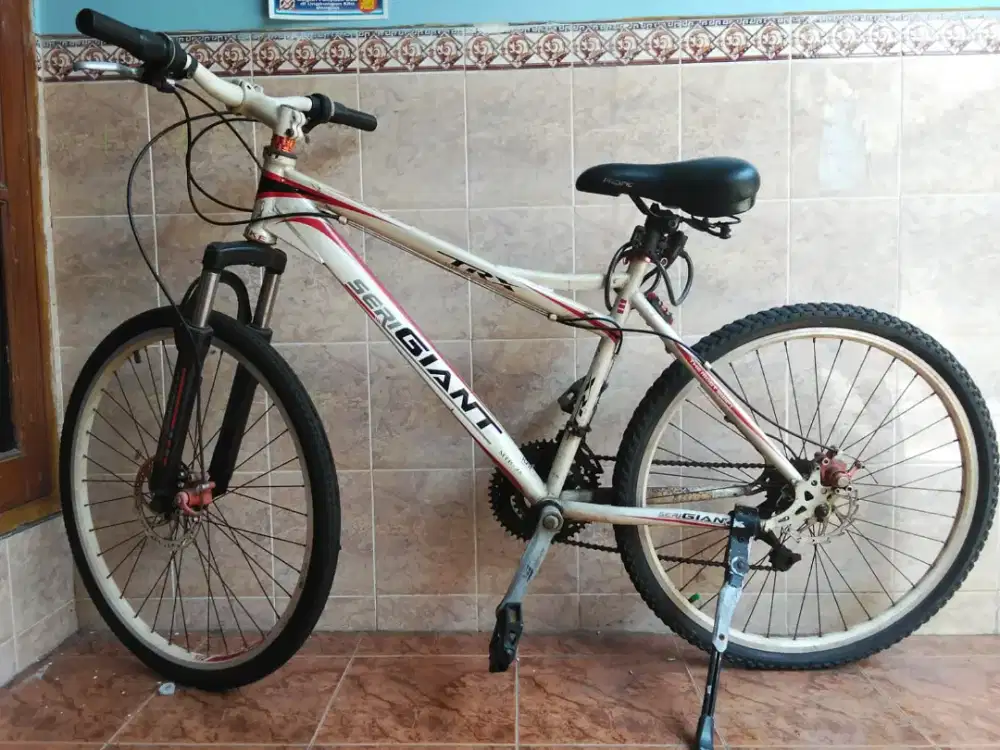 Sepeda gunung giant TRX 26