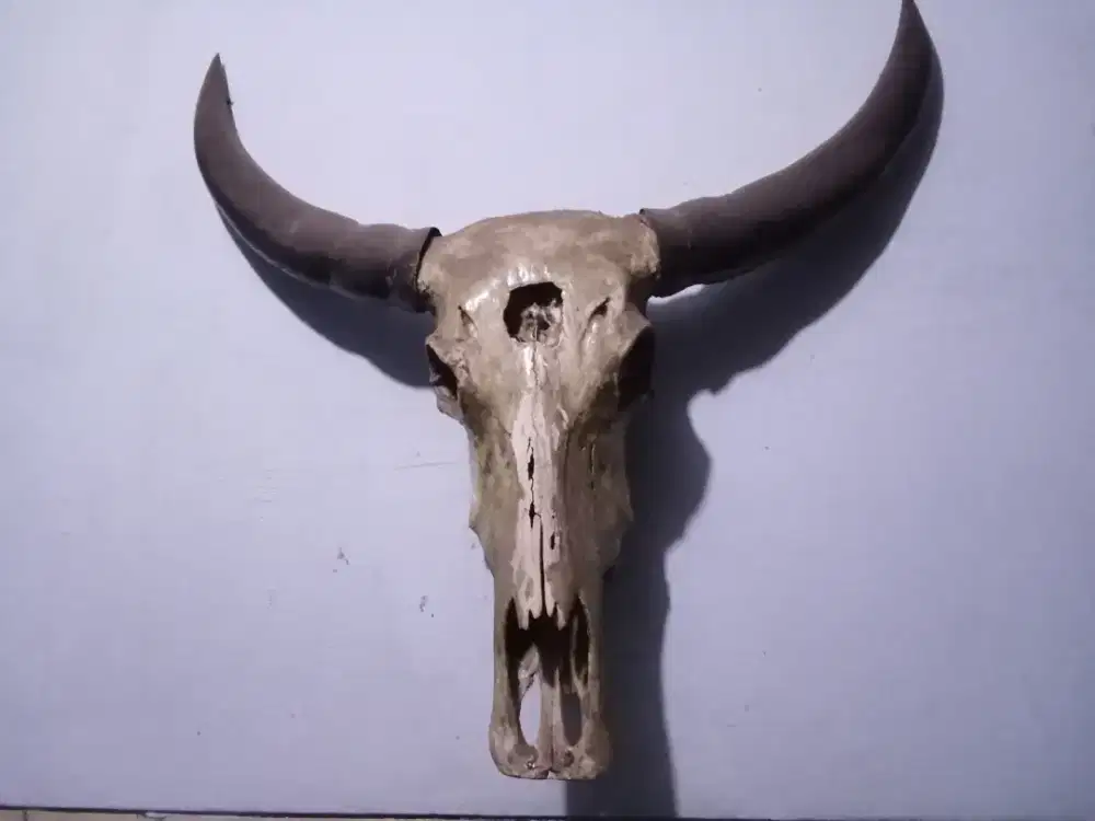 Pajangan KEPALA KERBAU DAN DOMBA