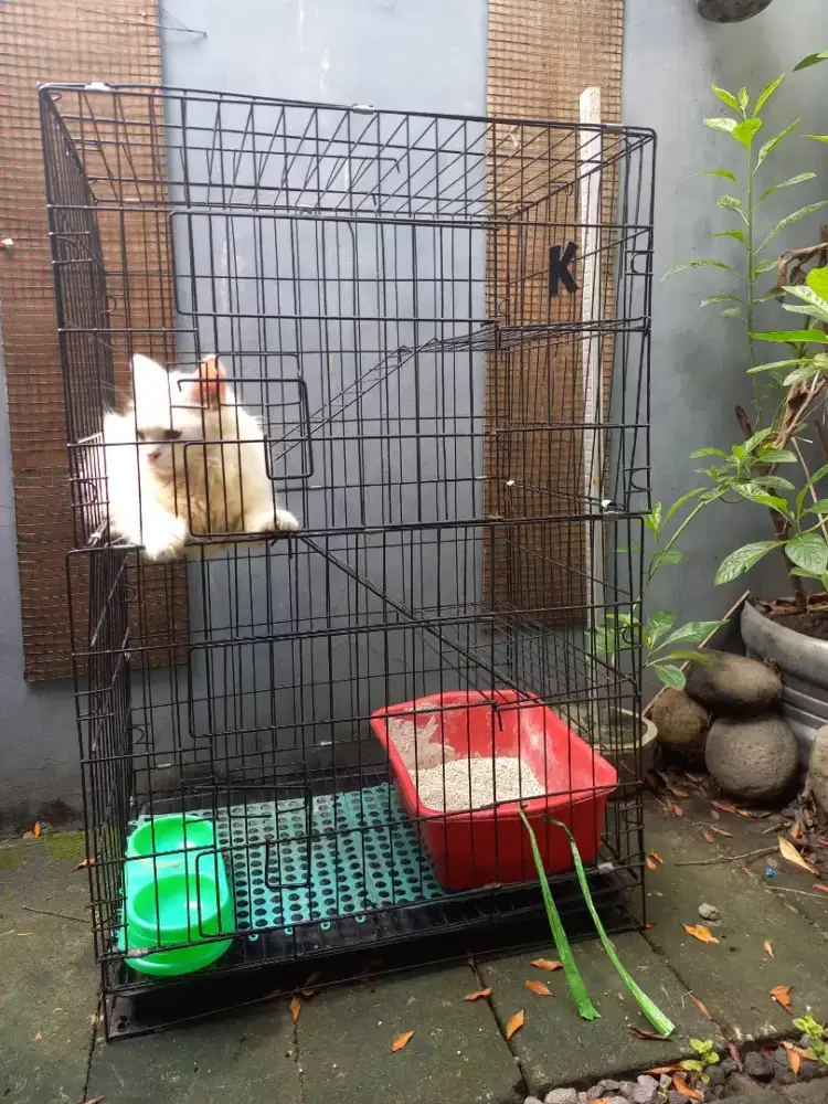 Kandang Kucing Lipat 3 Tingkat