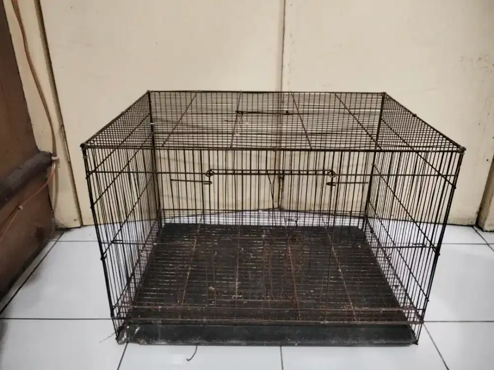 Kandang burung siap ternak