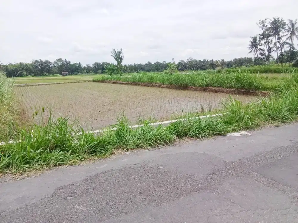 FLASH SALE TANAH DI JUAL JOGJA LOKASI STRATEGIS DEKAT WISATA OBELIX