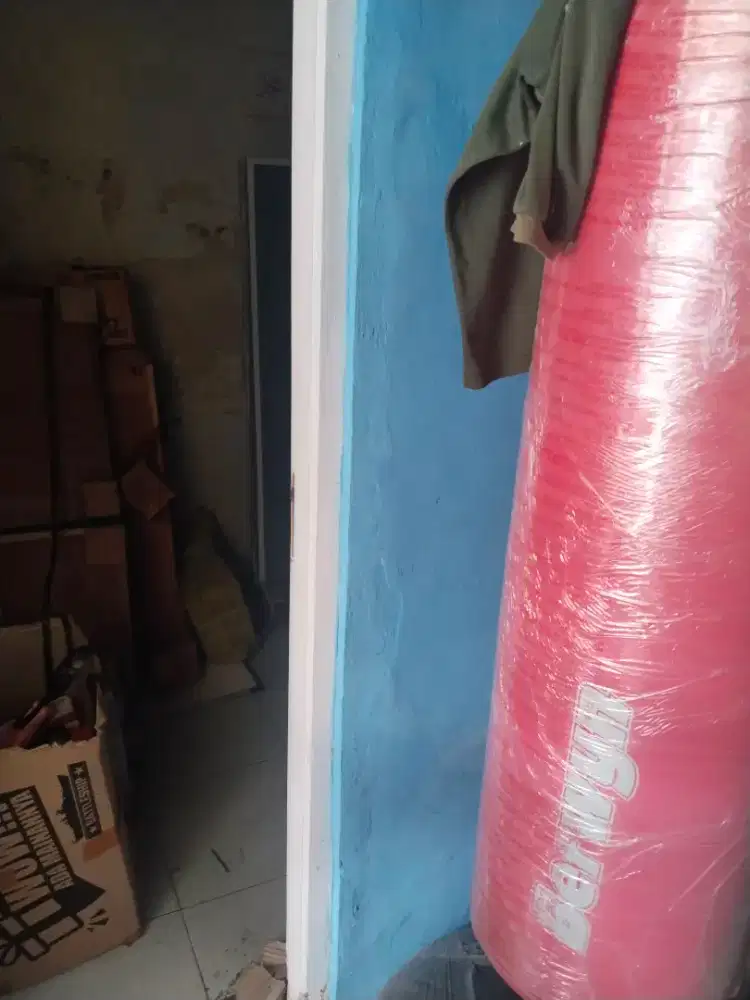 samsak tinju profesional baru