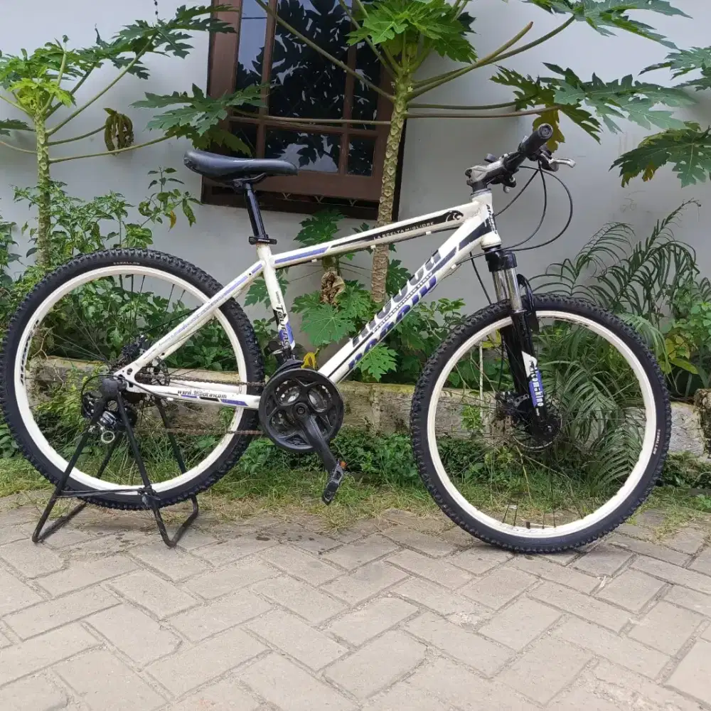 Sepeda MTB Aleoca Braccid Potenza