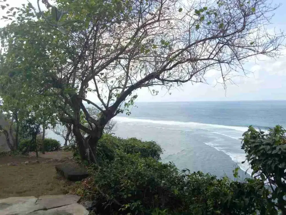 Tanah Los Tebing pantai Greenbowl Nusa dua