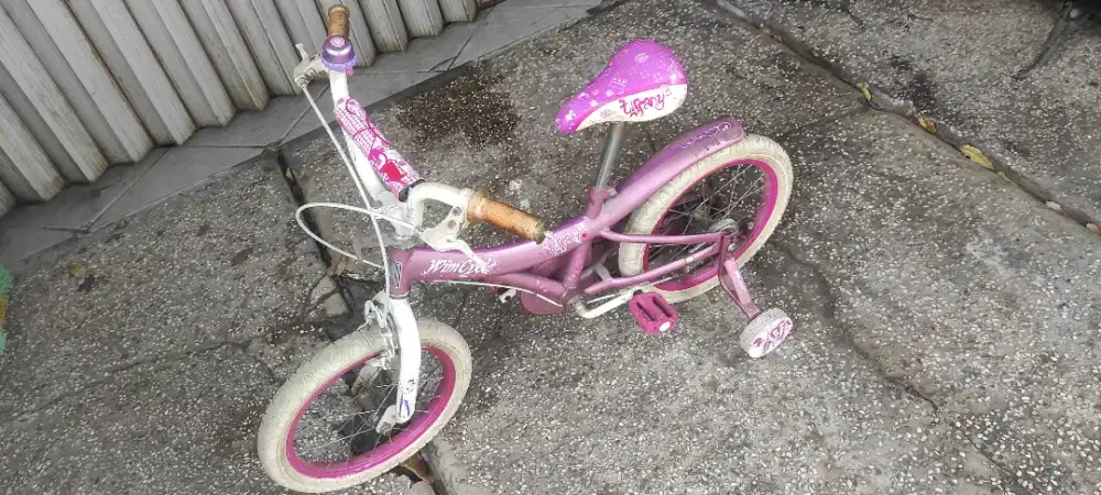 Sepeda Anak Wimcycle Tiffany