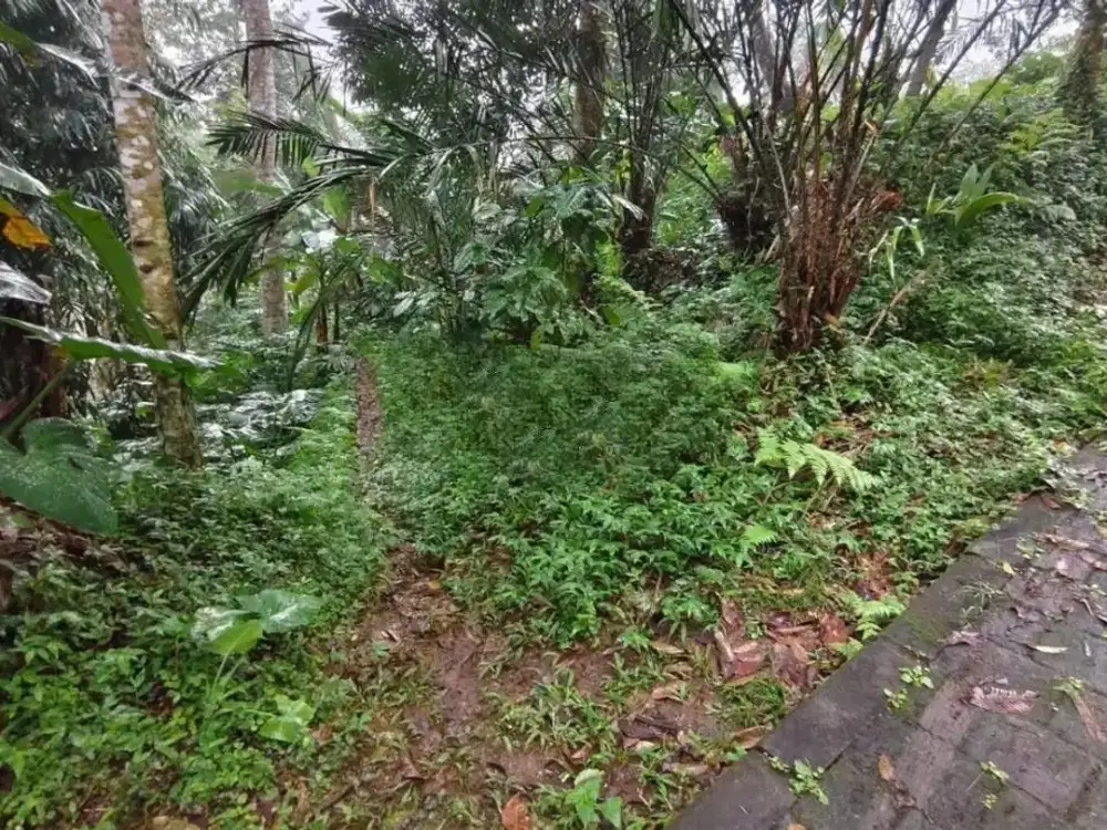 DIJUAL TANAH LUAS 9.950 M2 PETANG BADUNG