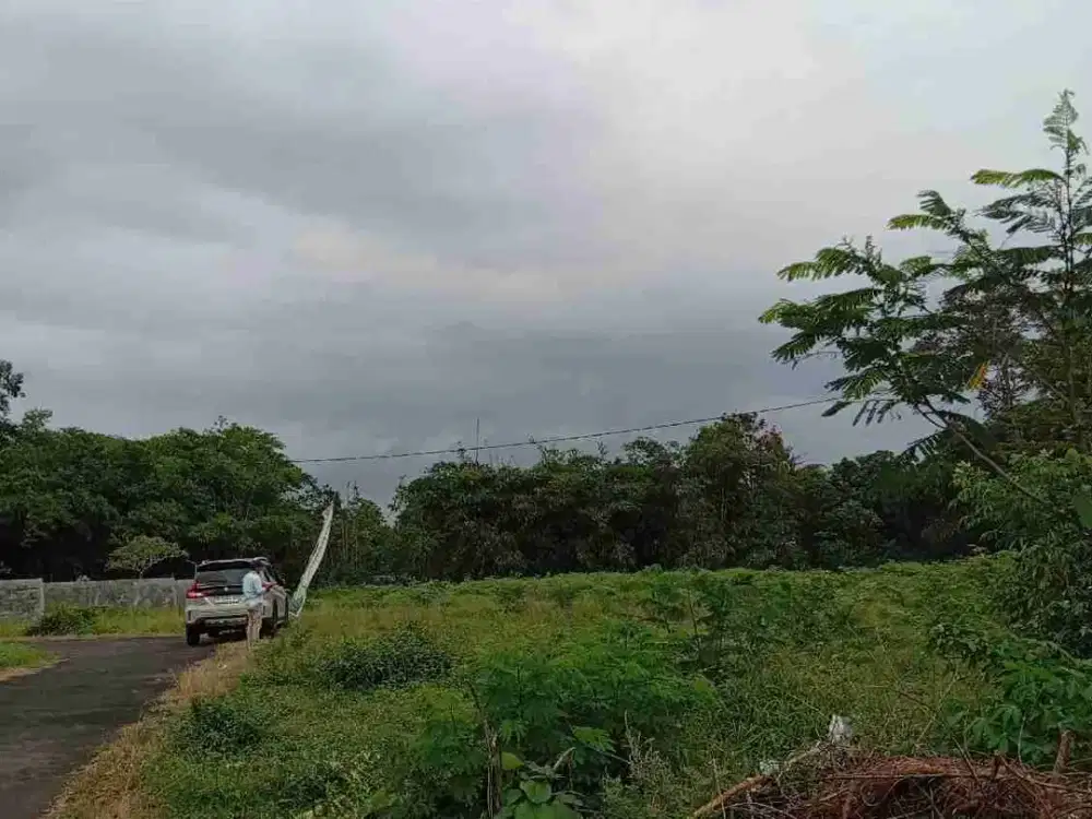 Dijual Tanah Pekarangan Selomartani Kalasan