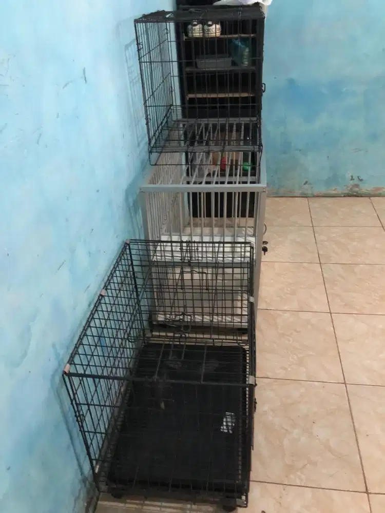 Kandang kucing anabul