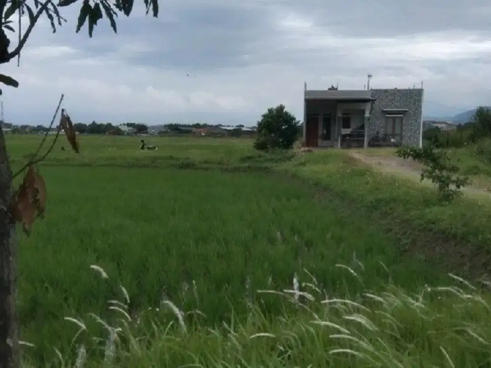 Sawah cocok untuk bangunan apapun di Sapan citarik Bojongemas Ref.05251