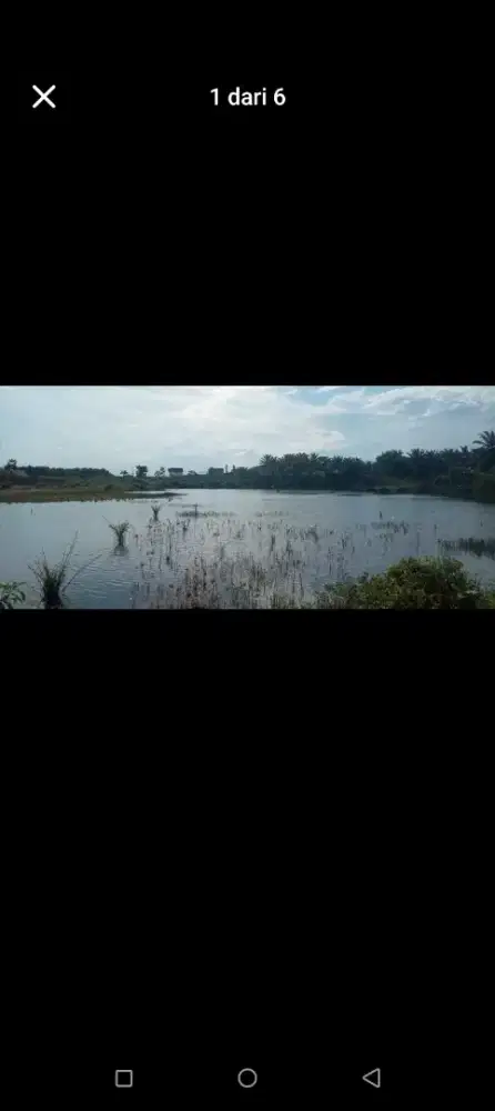 Jual tanah 1 hektar 160juta