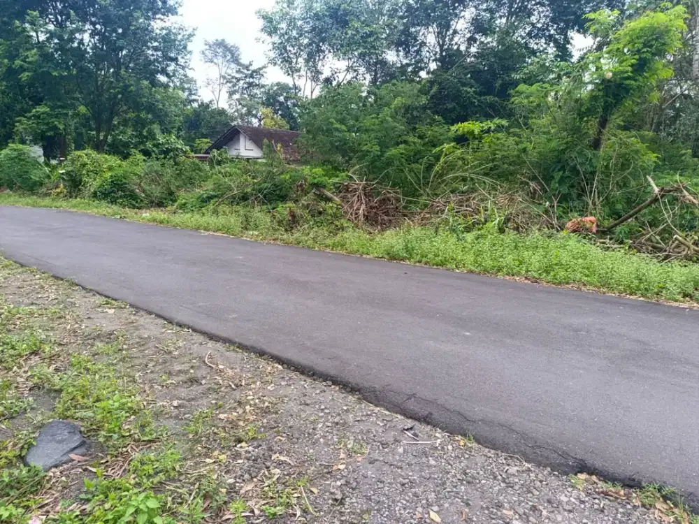 Tanah Selomartani Kalasan Strategis, 500 Meter Jalan Raya