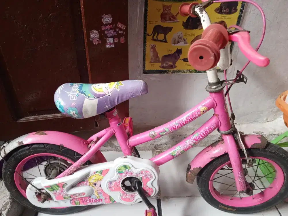 Sepeda Anak uk 14