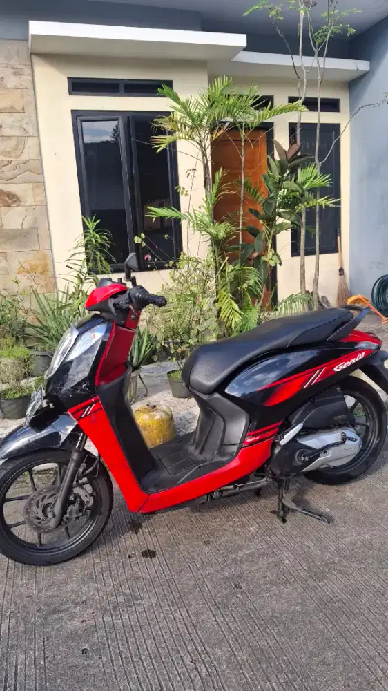 Honda Genio ESP 2020