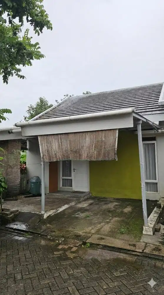 Rumah disewakan