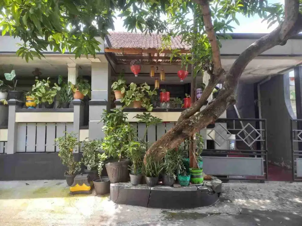Rumah Nyaman Luas Akses Aspal Lebar Di Ngringo Dekat Palur Plaza