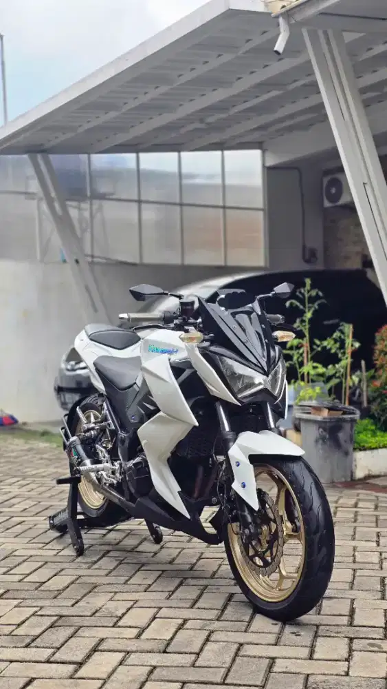 Kawasaki Ninja Z 250