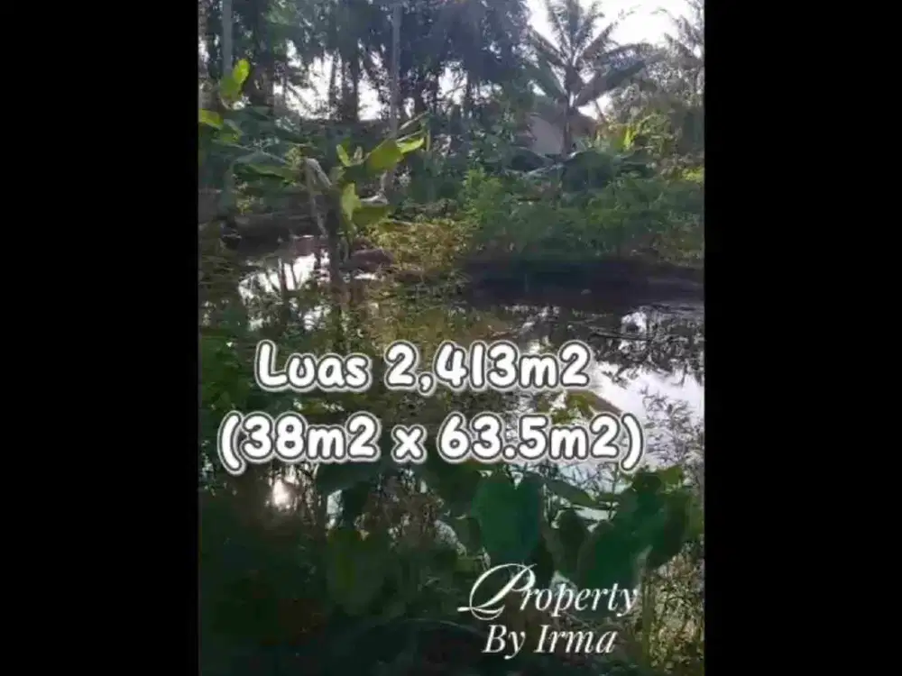 LAHAN STRATEGIS 2.413M2 DI JALAN LINTAS SUMATERA – SIAP KEMBANG, HARGA 700 RIBUAN/METER (NEGO)!