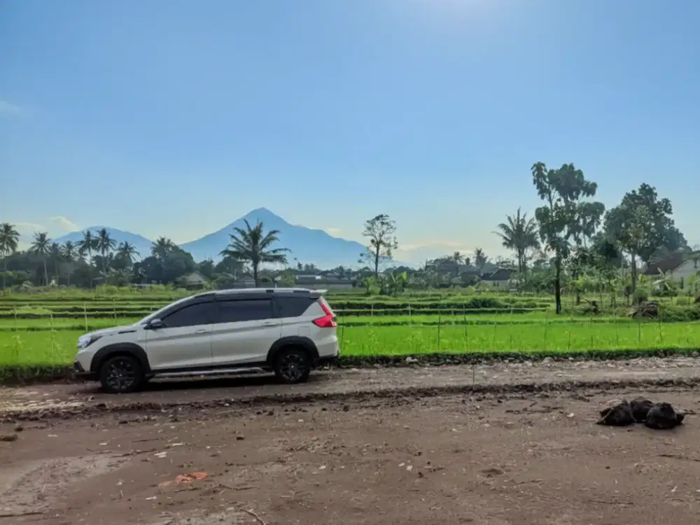 Tanah Area Sleman Strategis Dekat Pusat Kota Akses Mudah