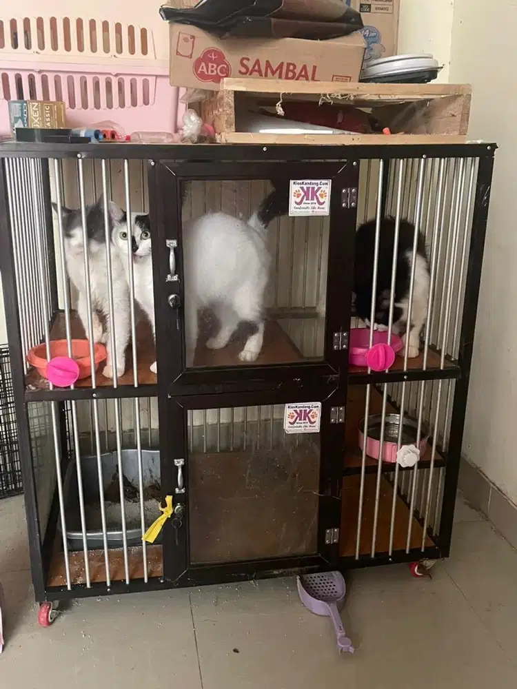 Kandang alumunium mines roda copot