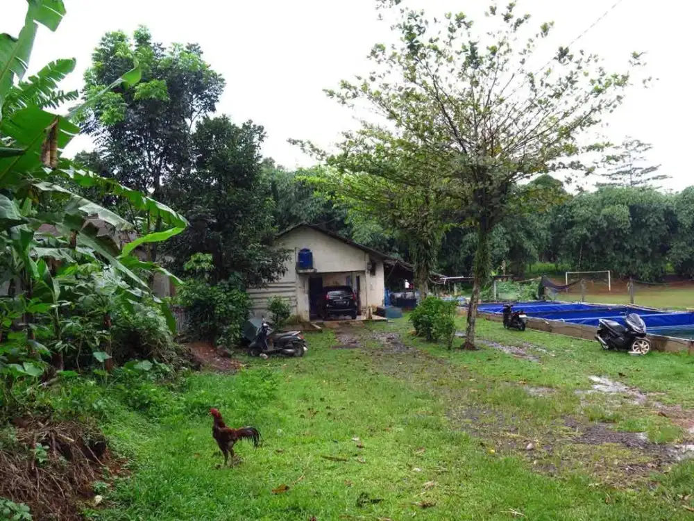 BU Turun Harga Jual Tanah Budidaya Ikan Air Tawar Ciseeng Parung Bogor