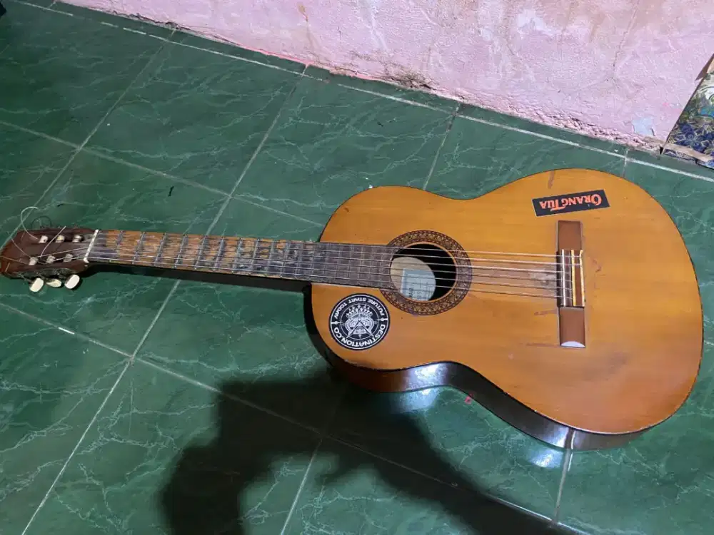 Gitar yamaha c113