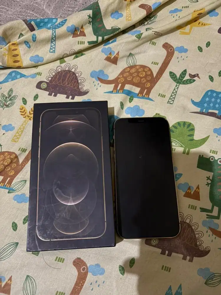 Iphone 12 pro 256 ex inter