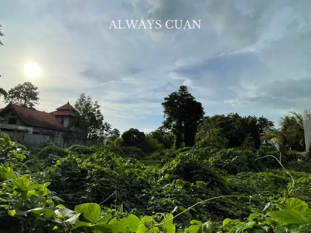 Super Premium Tanah Lokasi Canggu Dijual