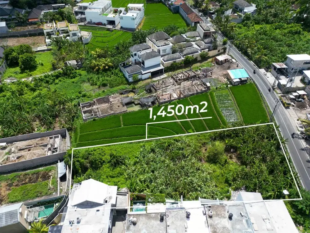 Dijual tanah canggu tumbak bayuh 14.5 a. Jln utama raya premium  bagus