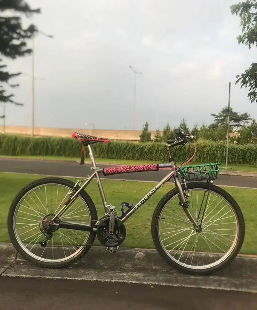 Sepeda federal street Cat