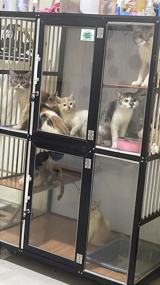 Kandang almunium besar