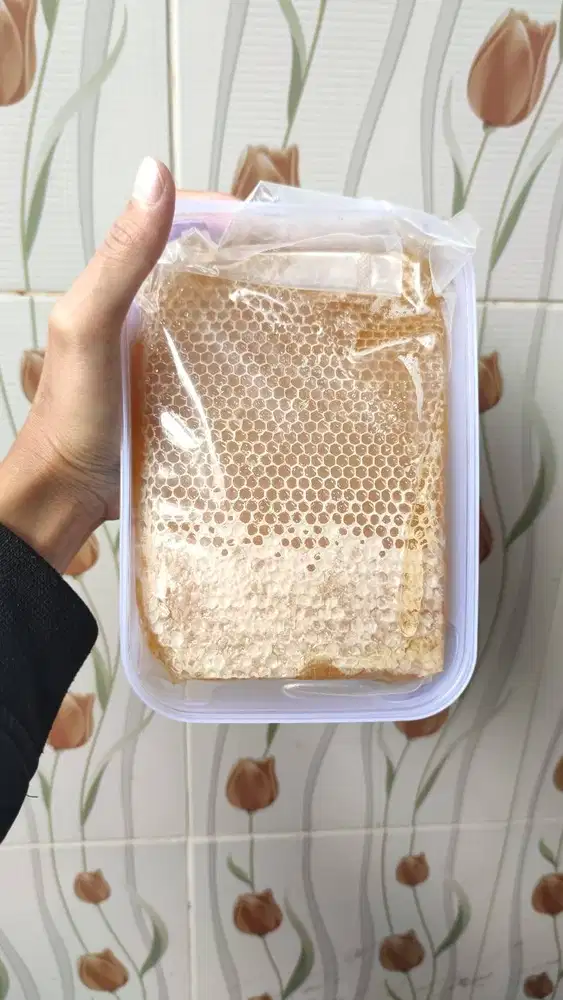 Madu Sarang Melifera