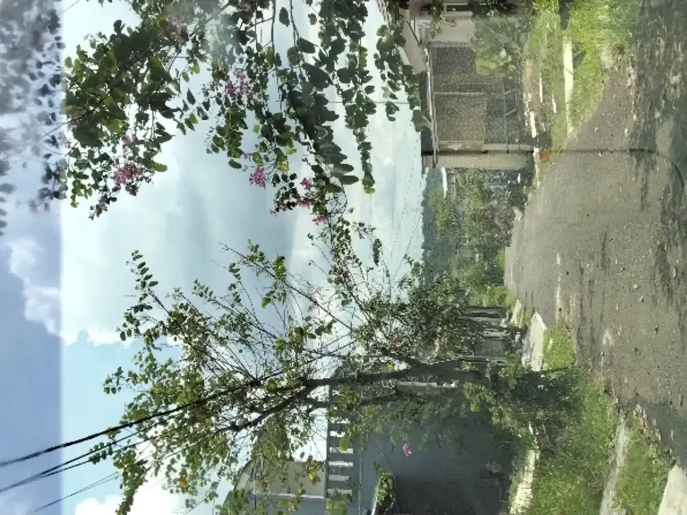 Rumah Murah Standart Citra Indah City