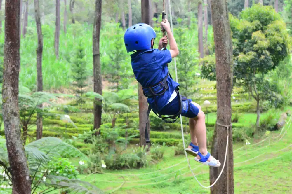 Dibutuhkan art urus anak
