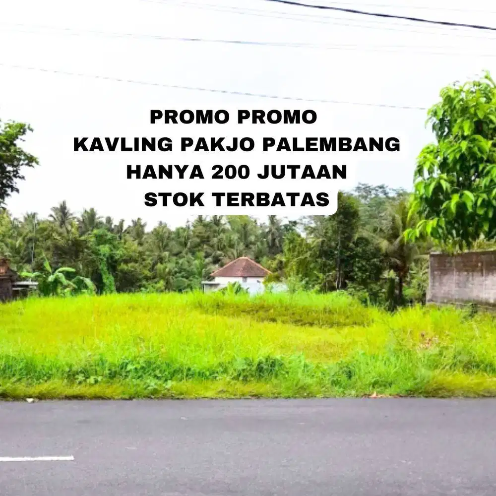 TANAH PAKJO IRIGASI PALEMBANG