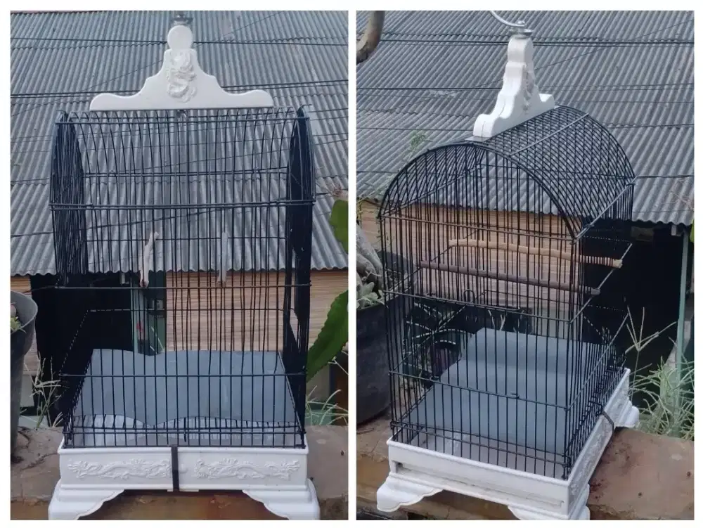 Kandang besi buat Burcil