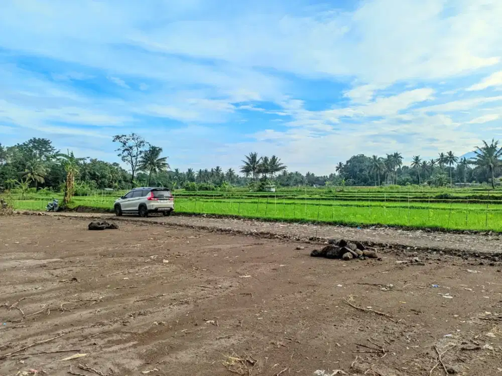 Tanah Pinggir Sawah Dekat Ring Road Utara Jogja