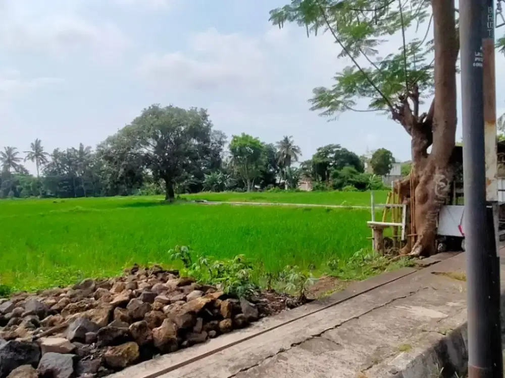 DIJUAL TANAH SAWAH PENATABAN-GIRI, BANYUWANGI