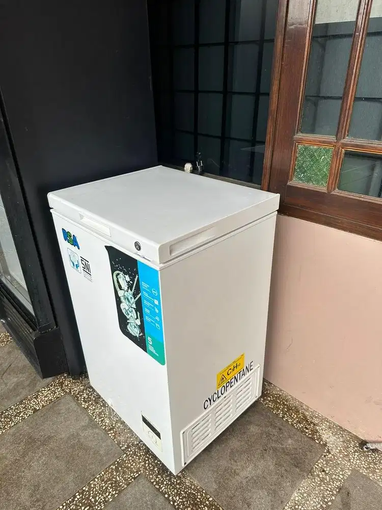 Freezer RSA 100 liter