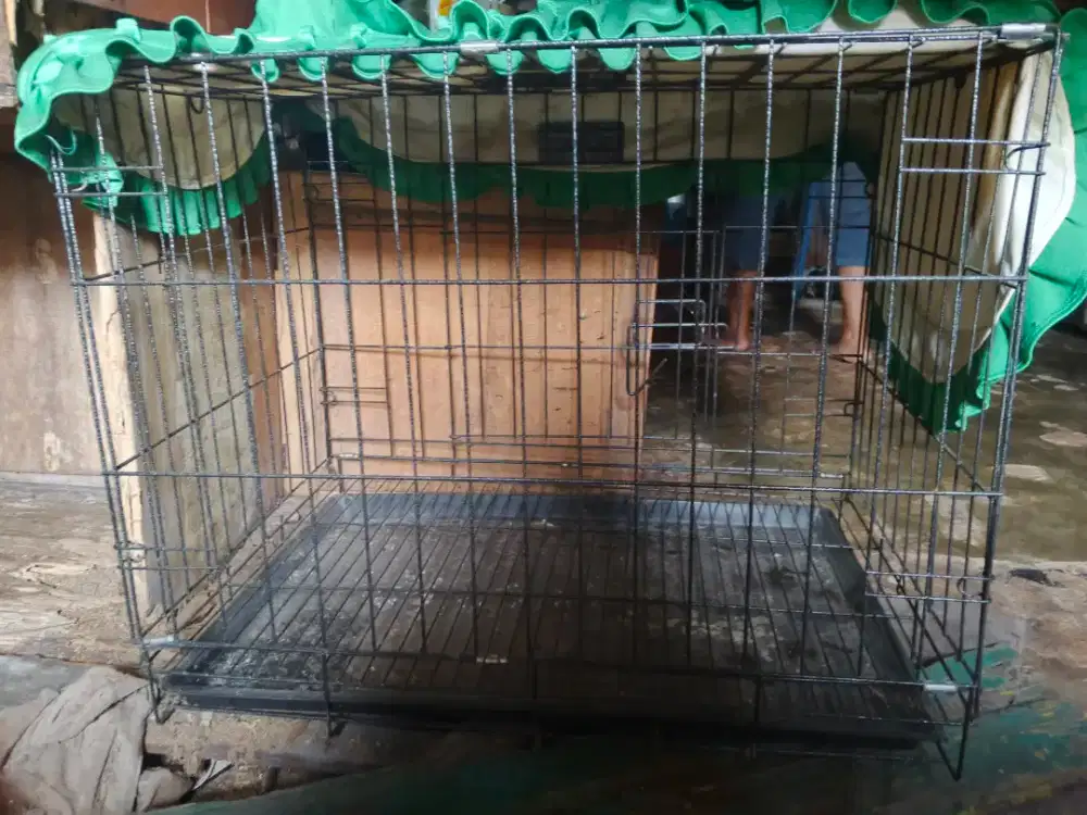Kandang kucing baru sekali pakai UK 60x40