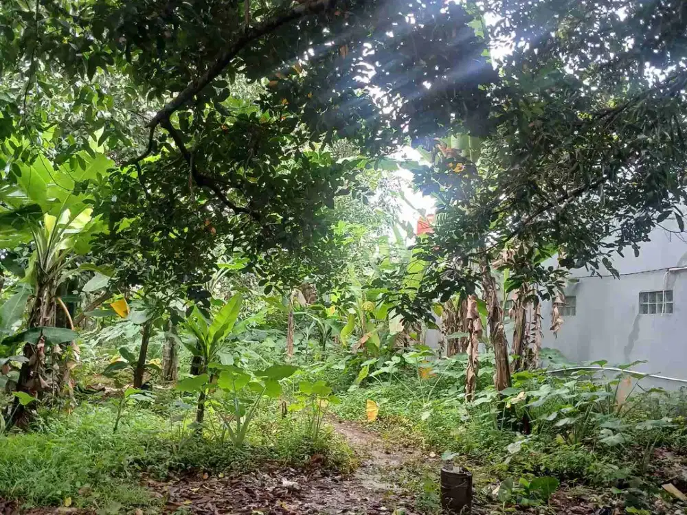 Dijual Tanah Murah Di Tengah2 Kota BSD