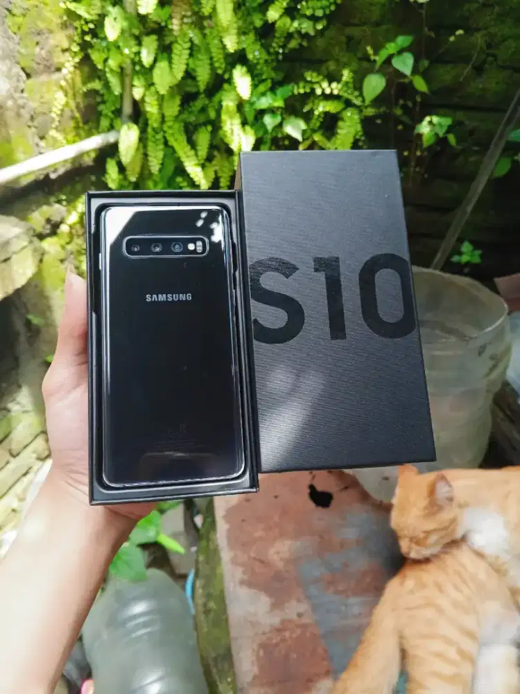 Samsung S10 8/128 SEIN Fullset Nominus